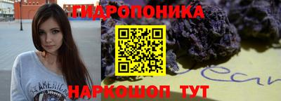 mdpv Можга