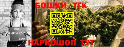 тгк Моздок