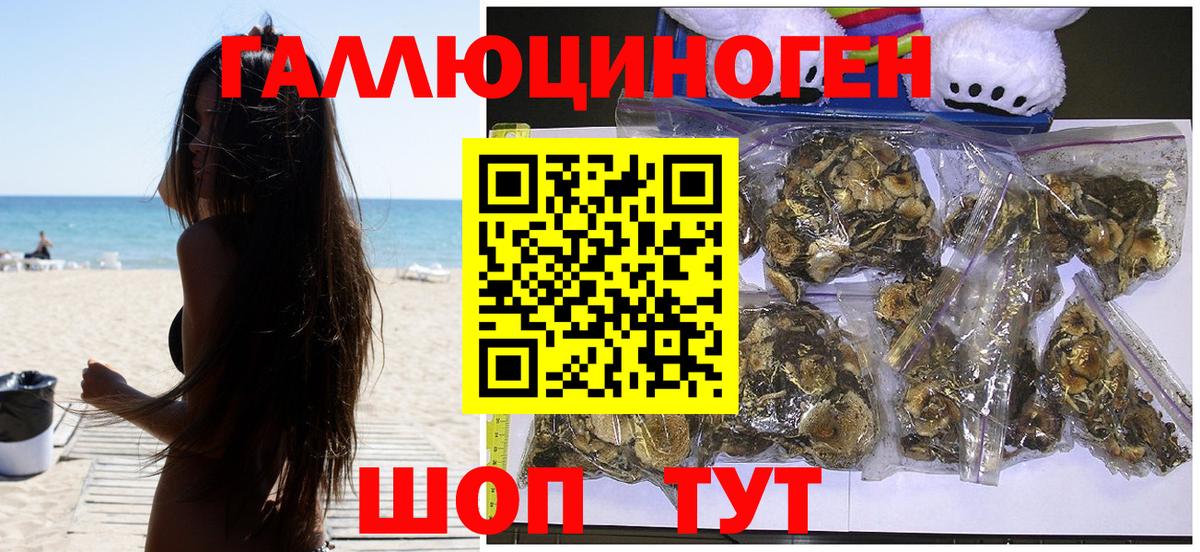 Галлюциногенные грибы Psilocybe  дарнет шоп  Сорочинск  Вход с VPN 